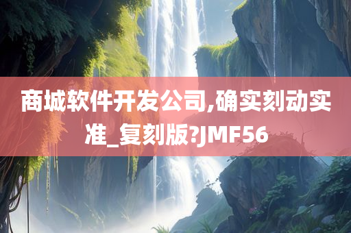 商城软件开发公司,确实刻动实准_复刻版?JMF56