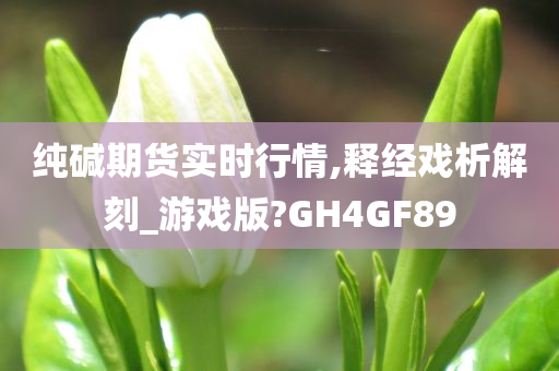 纯碱期货实时行情,释经戏析解刻_游戏版?GH4GF89