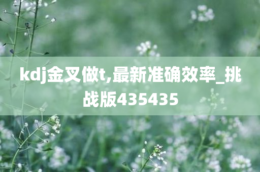 kdj金叉做t,最新准确效率_挑战版435435