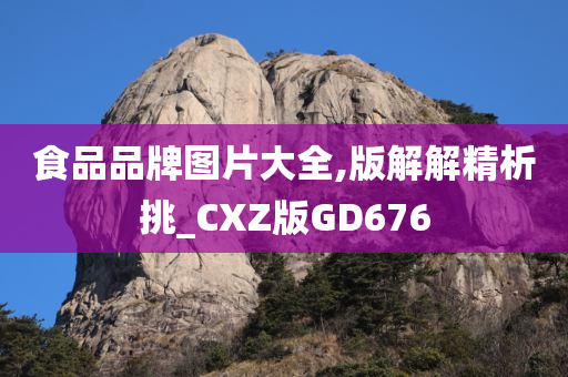 食品品牌图片大全,版解解精析挑_CXZ版GD676