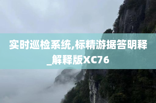 实时巡检系统,标精游据答明释_解释版XC76