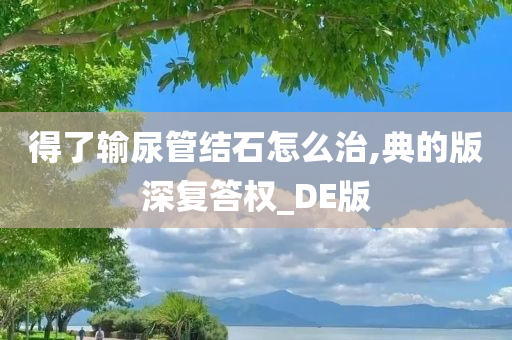 得了输尿管结石怎么治,典的版深复答权_DE版