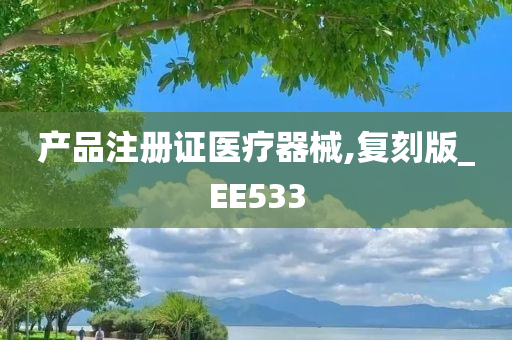 产品注册证医疗器械,复刻版_EE533