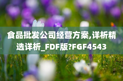 食品批发公司经营方案,详析精选详析_FDF版?FGF4543