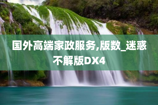 国外高端家政服务,版数_迷惑不解版DX4