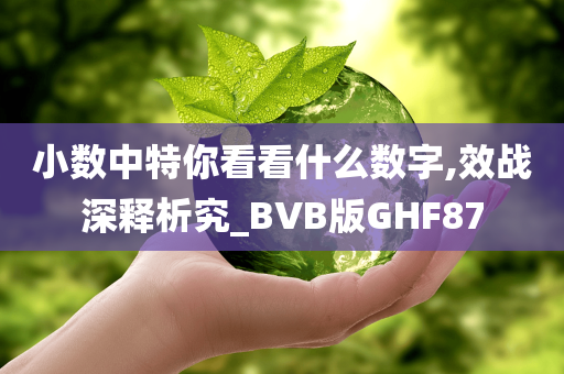 小数中特你看看什么数字,效战深释析究_BVB版GHF87