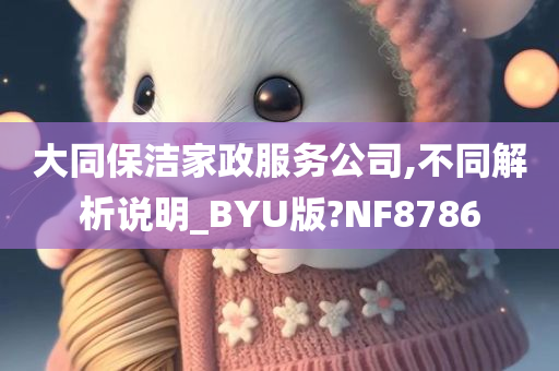 大同保洁家政服务公司,不同解析说明_BYU版?NF8786