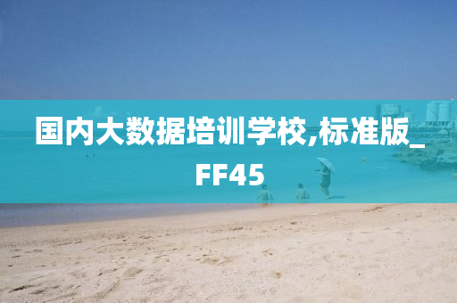 国内大数据培训学校,标准版_FF45