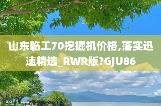 山东临工70挖掘机价格,落实迅速精选_RWR版?GJU86