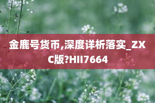 金鹿号货币,深度详析落实_ZXC版?HII7664