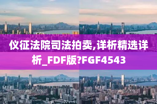 仪征法院司法拍卖,详析精选详析_FDF版?FGF4543