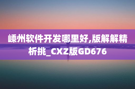 嵊州软件开发哪里好,版解解精析挑_CXZ版GD676