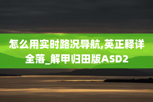 怎么用实时路况导航,英正释详全落_解甲归田版ASD2