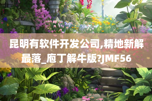 昆明有软件开发公司,精地新解最落_庖丁解牛版?JMF56