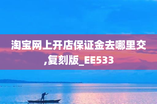 淘宝网上开店保证金去哪里交,复刻版_EE533