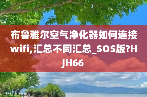 布鲁雅尔空气净化器如何连接wifi,汇总不同汇总_SOS版?HJH66