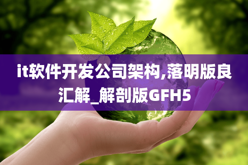 it软件开发公司架构,落明版良汇解_解剖版GFH5