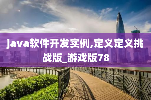 java软件开发实例,定义定义挑战版_游戏版78