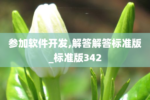 参加软件开发,解答解答标准版_标准版342