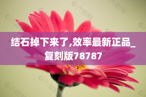 结石掉下来了,效率最新正品_复刻版78787