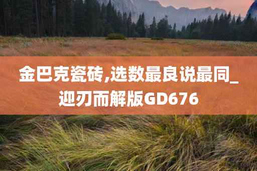 金巴克瓷砖,选数最良说最同_迎刃而解版GD676