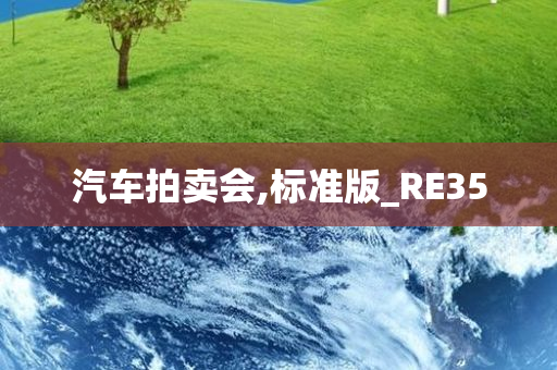 汽车拍卖会,标准版_RE35