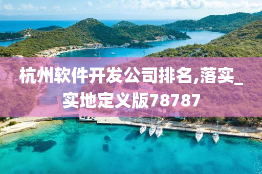 杭州软件开发公司排名,落实_实地定义版78787