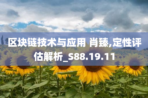 区块链技术与应用 肖臻,定性评估解析_S88.19.11