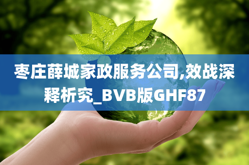 枣庄薛城家政服务公司,效战深释析究_BVB版GHF87