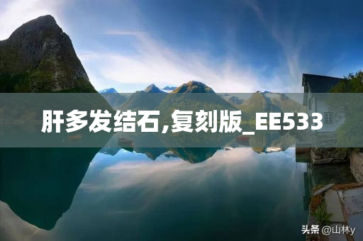 肝多发结石,复刻版_EE533