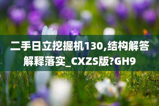 二手日立挖掘机130,结构解答解释落实_CXZS版?GH9