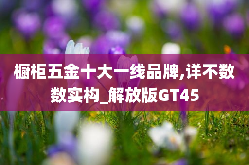 橱柜五金十大一线品牌,详不数数实构_解放版GT45