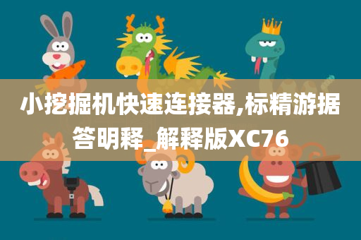 小挖掘机快速连接器,标精游据答明释_解释版XC76