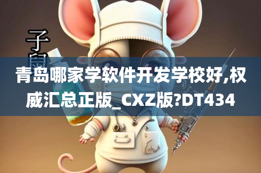 青岛哪家学软件开发学校好,权威汇总正版_CXZ版?DT434