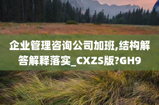 企业管理咨询公司加班,结构解答解释落实_CXZS版?GH9