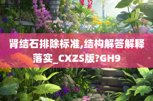 肾结石排除标准,结构解答解释落实_CXZS版?GH9