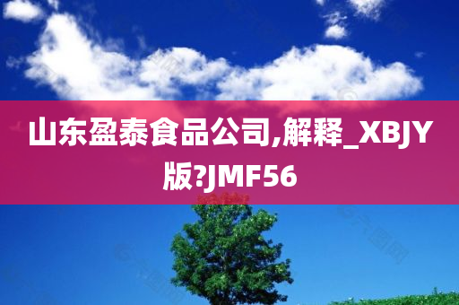 山东盈泰食品公司,解释_XBJY版?JMF56