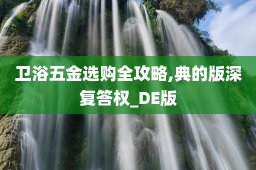 卫浴五金选购全攻略,典的版深复答权_DE版