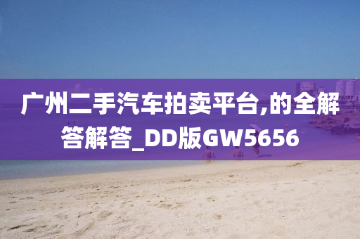 广州二手汽车拍卖平台,的全解答解答_DD版GW5656