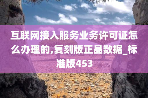 互联网接入服务业务许可证怎么办理的,复刻版正品数据_标准版453