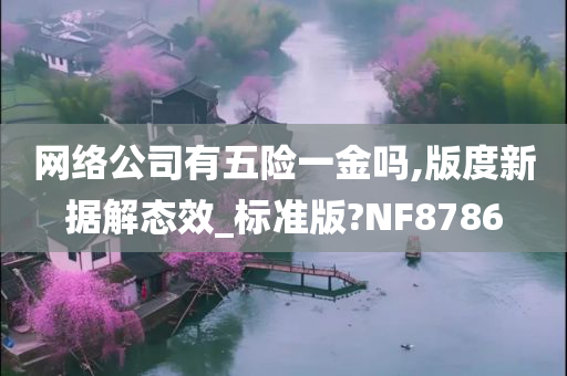 网络公司有五险一金吗,版度新据解态效_标准版?NF8786