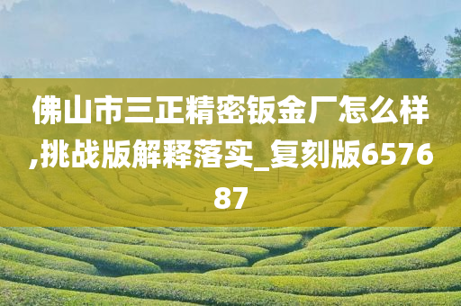 佛山市三正精密钣金厂怎么样,挑战版解释落实_复刻版657687