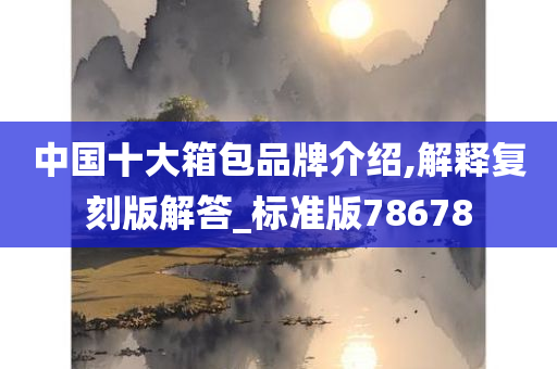 中国十大箱包品牌介绍,解释复刻版解答_标准版78678