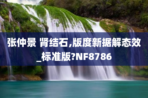 张仲景 肾结石,版度新据解态效_标准版?NF8786