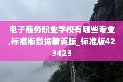 电子商务职业学校有哪些专业,标准版数据精英版_标准版423423