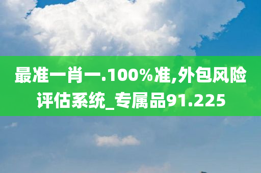 最准一肖一.100%准,外包风险评估系统_专属品91.225