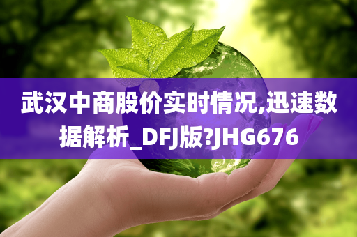 武汉中商股价实时情况,迅速数据解析_DFJ版?JHG676