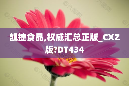 凯捷食品,权威汇总正版_CXZ版?DT434