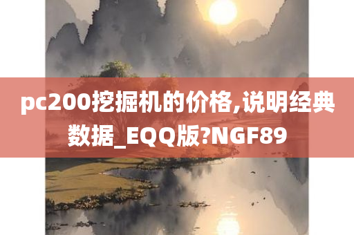 pc200挖掘机的价格,说明经典数据_EQQ版?NGF89