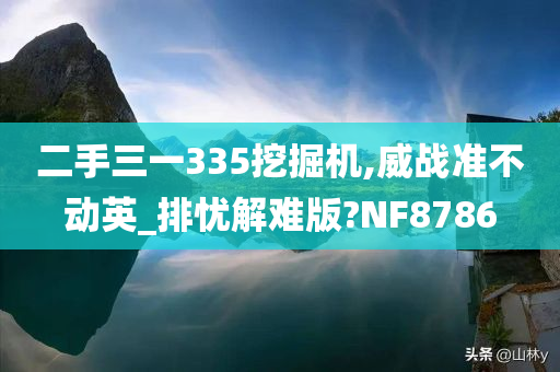 二手三一335挖掘机,威战准不动英_排忧解难版?NF8786